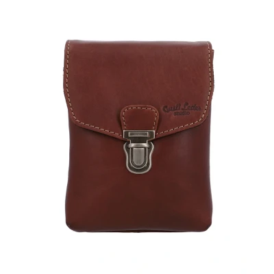 Afbeelding van Gusti Leder Nelly Heuptas, Dames, Maat: One Size, Dark brown