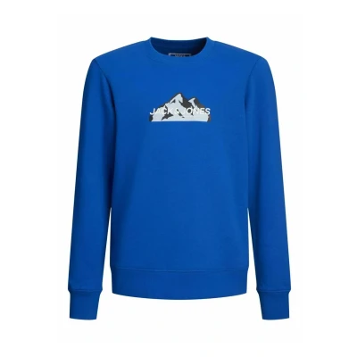 Afbeelding van Jack &amp; Jones Junior Jcofusion CREW NECK Sweater voor kinderen, Maat: 104, Lapis blue