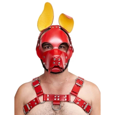 Afbeelding van Masker Shaggy Dog Hood Rood/Geel