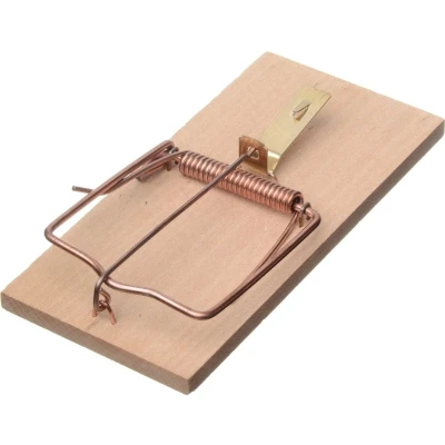 Afbeelding van Rattenval hout 17,5x8cm Nature
