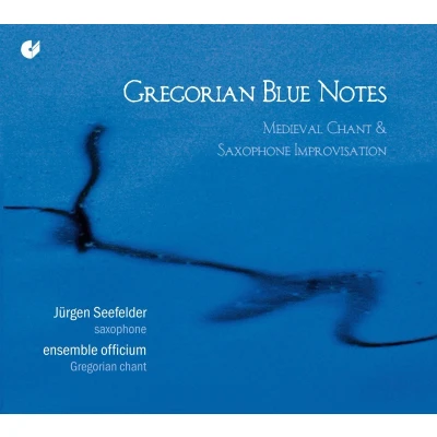 Afbeelding van Irmgard Seefried Gregorian Blue Notes (CD)