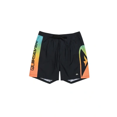 Afbeelding van Quiksilver Everyday Holmes 16 Zwemshorts, Heren, Maat: Medium, Multi coloured