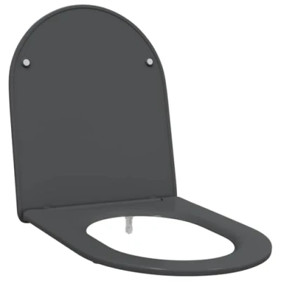 Afbeelding van vidaXL Snelle Afneembare Toiletbril met zachte sluiting Duroplast Anthraciet