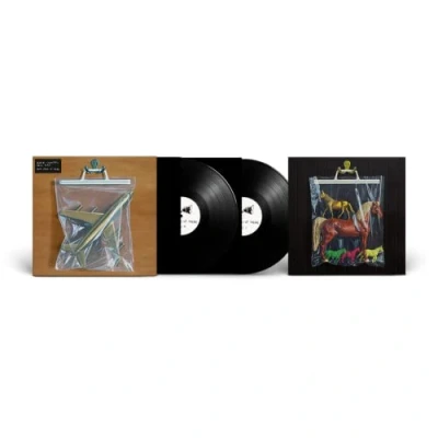 Afbeelding van New Road Black Country Ants From Up There (2 LPs)
