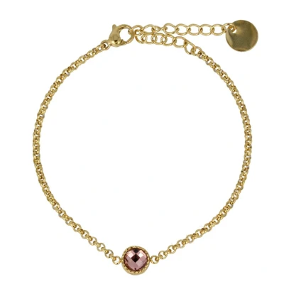 Afbeelding van My Bendel goudkleurige armband Met roze glassteen Fijne schakelarmband luxe cadeauverpakking