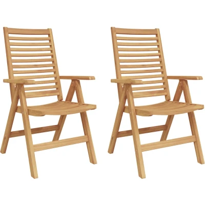 Afbeelding van vidaXL Tuinstoelen 2 stuks van Massief Teakhout