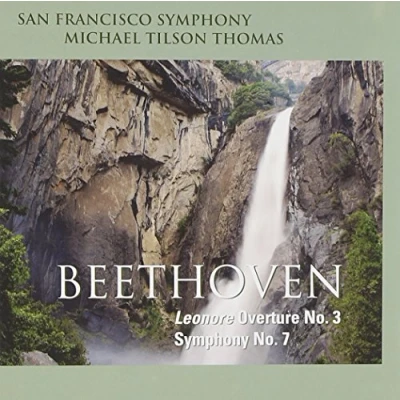 Afbeelding van Beethoven/Symphony No 7