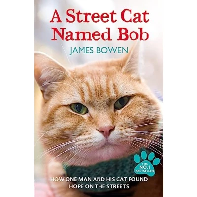Afbeelding van A Street cat Named Bob: How one man and his found hope on the streets