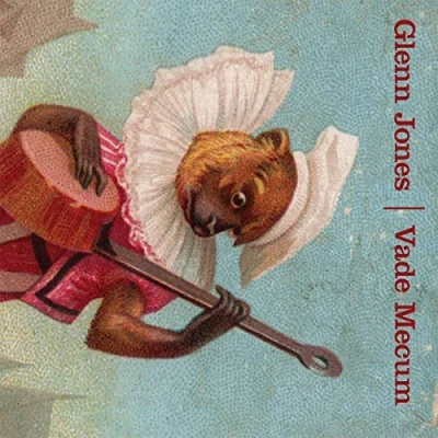 Afbeelding van Glenn Jones Vade Mecum (CD)