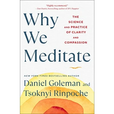 Afbeelding van Why We Meditate: The Science and Practice of Clarity Compassion