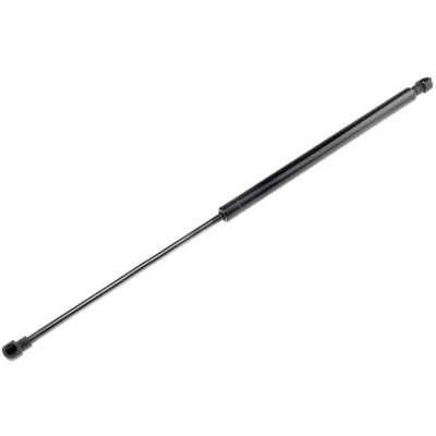 Afbeelding van Gasdemper, Achterruit NTY AE CT 033