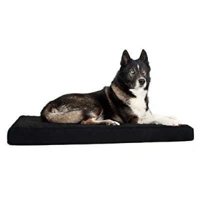 Afbeelding van Back on track Beschermkraag rugbeschermer hond L