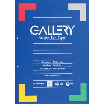 Afbeelding van Gallery cursusblok, ft A4, 80 g/m², 2 gaatsperforatie, commercieel geruit, 100 vel cursusblok