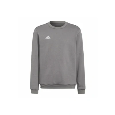 Afbeelding van adidas Performance Entrada 22 Sweater, Maat: 128, Grey