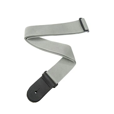 Afbeelding van D&quot;;Addario PWS105 polypropyleen gitaarband zilver