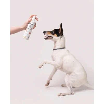 Afbeelding van Animally Biologische Dieren Insecten spray teken vloeien etherische olie 250 ml