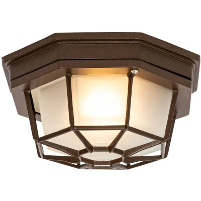 Afbeelding van QAZQA bri Landelijke Plafondlamp voor buiten 1 lichts Ø 21.3 cm Roestbruin Buitenverlichting