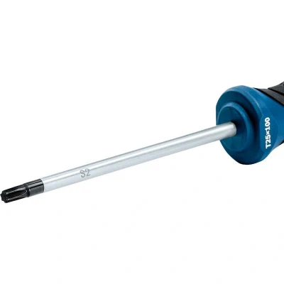 Afbeelding van Bosch Accessoires Schroevendraaier TX 25x100 1600A01V0D