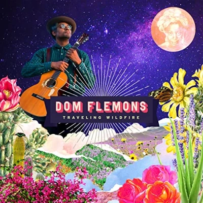 Afbeelding van Dom Flemons Traveling Wildfire (LP)