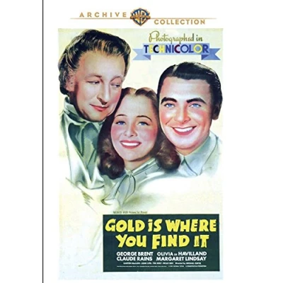 Afbeelding van Gold Is Where You Find It