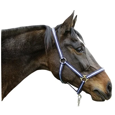 Afbeelding van Covalliero Veulenhalster Hippo Mini Shetland Blauw Nylon