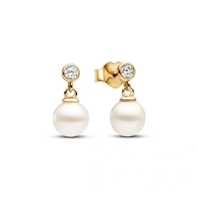 Afbeelding van Pandora Signature 925 Sterling Zilveren Ketting 393162C01 50