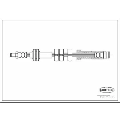 Afbeelding van CORTECO 19031606 Remslang Vooras 445mm FIAT: Seicento / 600 Hatchback (187) 0.9, 1.1 1997 2010