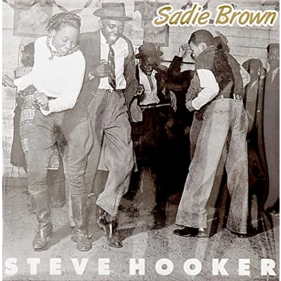 Afbeelding van Steve Hooker Sadie Brown (Single)