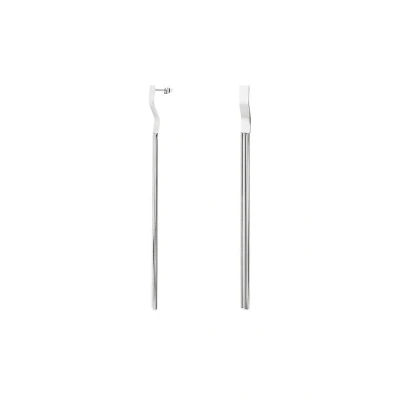 Afbeelding van Bijoutheek Oorknoppen Graceful Zilver