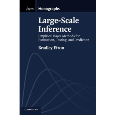 Afbeelding van Large Scale Inference