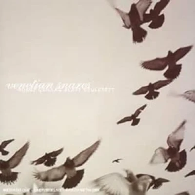 Afbeelding van Venetian Snares Rossz Csillag Alatt Szuletett (CD)