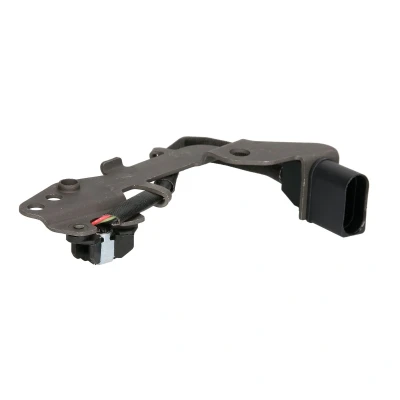 Afbeelding van Nokkenassensor DELPHI SS10940