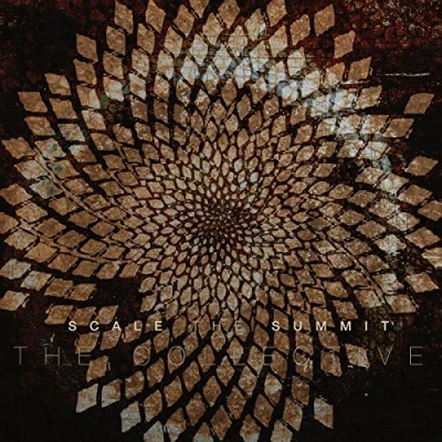 Afbeelding van Scale The Summit Collective (LP)