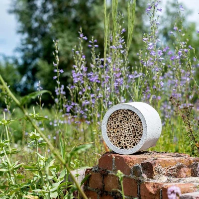Afbeelding van Wildbird Insectenhotel Woodstone Isabela Nestkast 11x11x15 cm