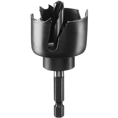 Afbeelding van Bosch Accessoires Gatzaag voor spots Ø 38 2609256D03