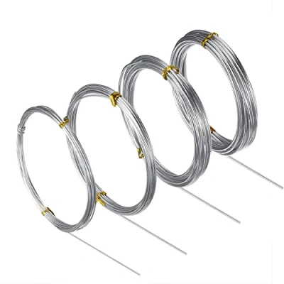 Afbeelding van Roestvrij staaldraad, 304 materiaal, 0,1 mm 32FT, 0,5 1,0 16FT, 2,0 3FT, gepolijst, B669@# 1044078, voor doe het zelf kunst, ambachten, sieraden maken, bonsaitraining, tuindraad