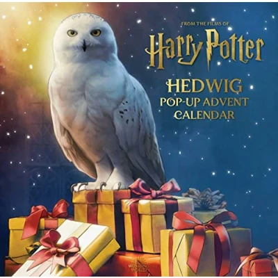 Afbeelding van Harry Potter: Hedwig Pop Up Advent Calendar