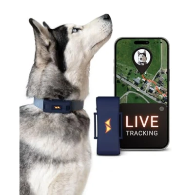 Afbeelding van PAJ GPS tracker voor honden 4G Wegloopalarmen + Wereldwijde live tracking Tot 10 dagen batterijbesparingszone Hond terugroepen Met verlichte LED&#039;s Past op elke halsband Blauw