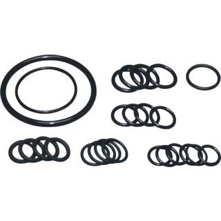 Afbeelding van Nefit o ring set smartline basic