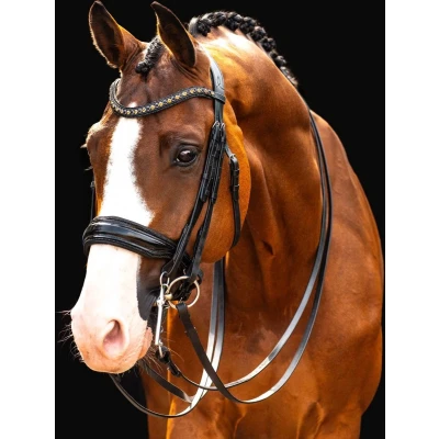 Afbeelding van HB Showtime Stang en Trens Hoofdstel All You Neededverkocht door HypoStore