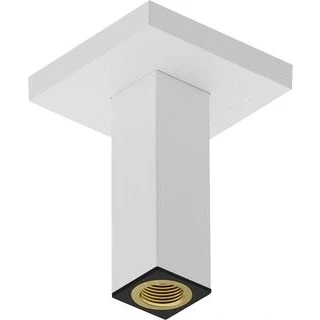 Afbeelding van Hansgrohe hg plafondaansluiting e 100mm mw 24338700