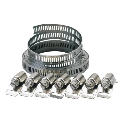 Afbeelding van Draper Set met brede Slangklemmen 8 tot 12 mm Bandbreedte 3 m Banding Quick Grip Spanklemmen 55592