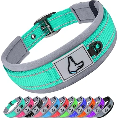 Afbeelding van Joytale Neopreen gewatteerde hondenhalsband voor kleine honden, 11 kleuren, reflecterende brede halsband met duurzame metalen riemgesp, verstelbare zwaar belastbare nylon hondenhalsband, groenblauw