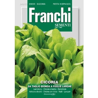 Afbeelding van Cichorei, Cicoria Bonda foglie larghe