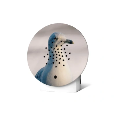 Afbeelding van Oceanbox Limited Edition White Seagull