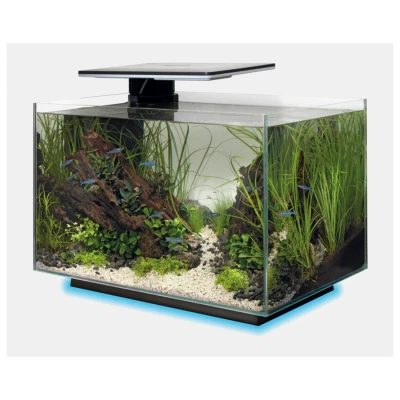 Afbeelding van Superfish Quadro 40 Multi Colour Zwart