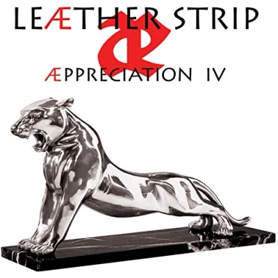 Afbeelding van Leaether Strip Aeppreciation Iv