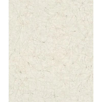 Afbeelding van Noordwand Vintage Deluxe 32802 The New Textures Book