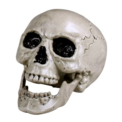 Afbeelding van Horror decoratie schedel/doodskop met beweegbare kaak 20 x 15 cm Feestdecoratievoorwerp