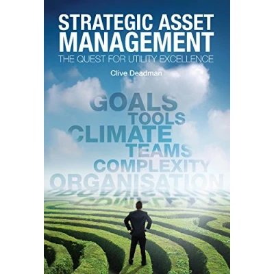 Afbeelding van Strategic Asset Management